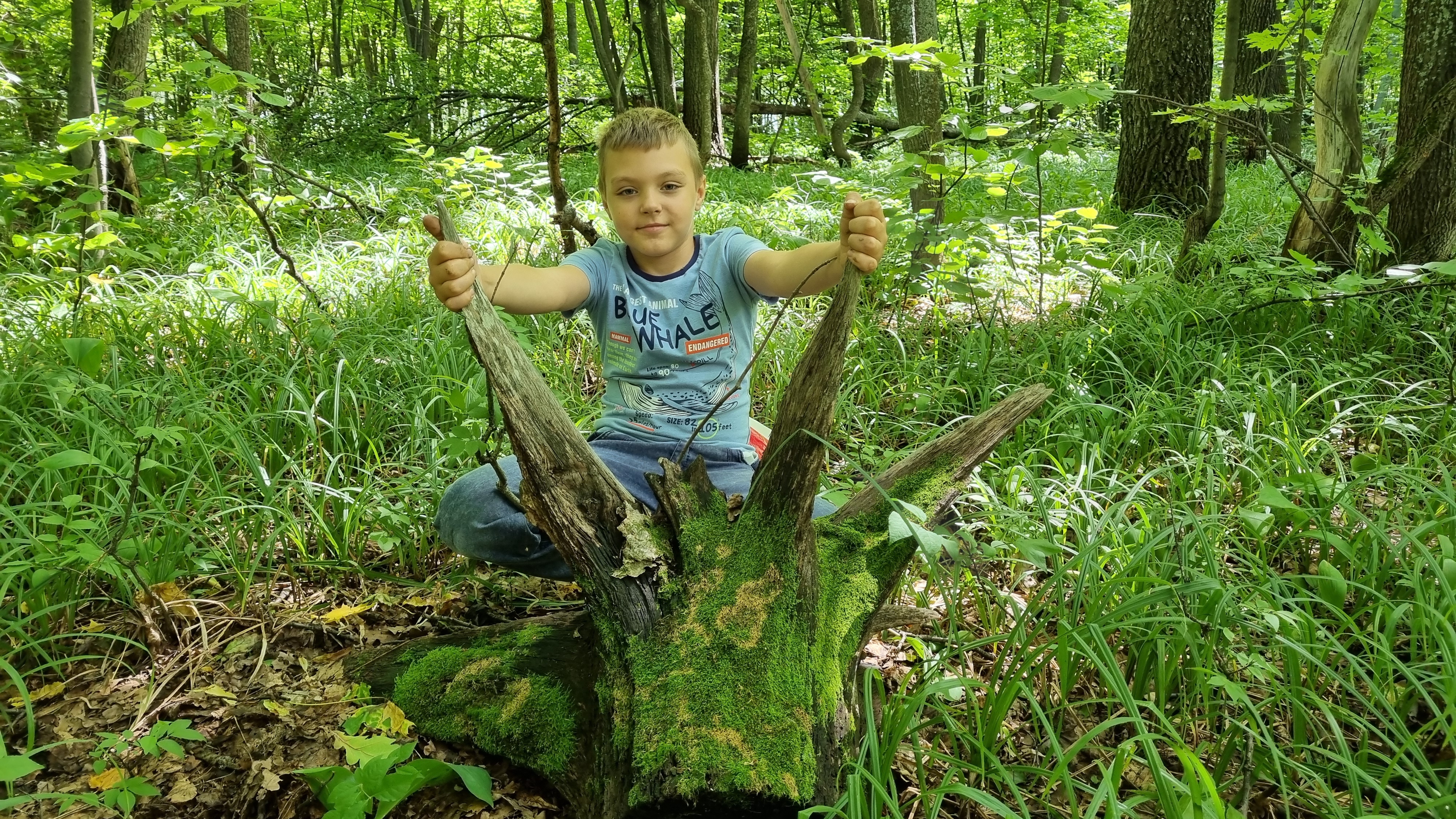 За Грибами в Лес Тихая охота в Самарской области