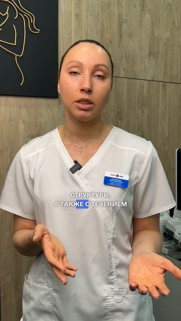 Основные вопросы о лабиопластике смотреть онлайн