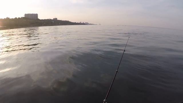 досуг веселый