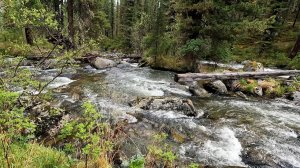Поездка в тайгу.