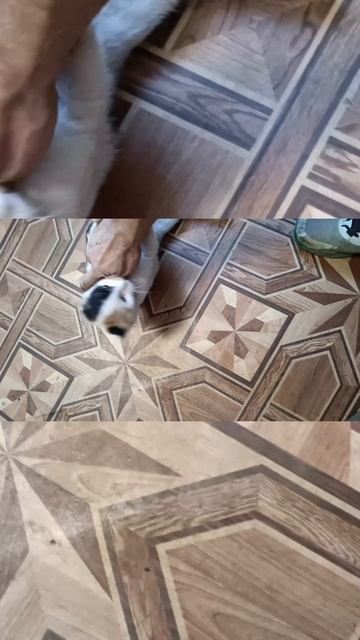 герметик стекольный