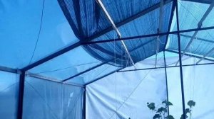 Затеняющая раздвижная + противокапельная штора с ручным приводом на потолке теплицы своими руками.