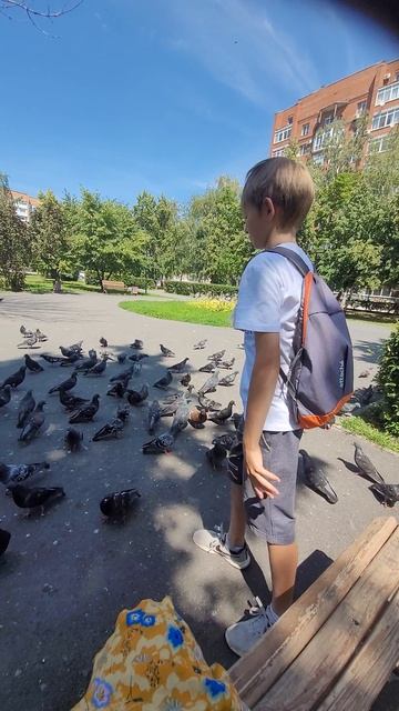 голуби смотреть онлайн
