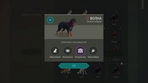 Как получить верного друга / Last Day On Earth: Survival