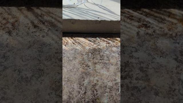 всем привет 👋😊 смотреть онлайн