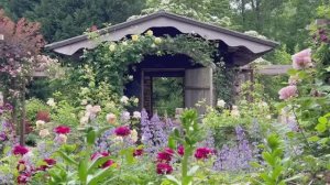 САДЫ ЯПОНИИ.  САД ХИРУЗЕНА СОКРОВИЩНИЦА ЦВЕТОВ.