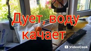 Жара пришла