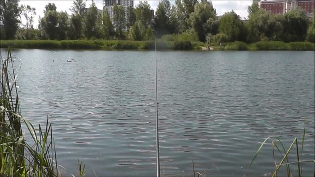 РЫБОЛОВ ИВАНОВИЧ . ВНОВЬ НА ОЗЕРО ЗА ОЩУЩЕНИЯМИ.