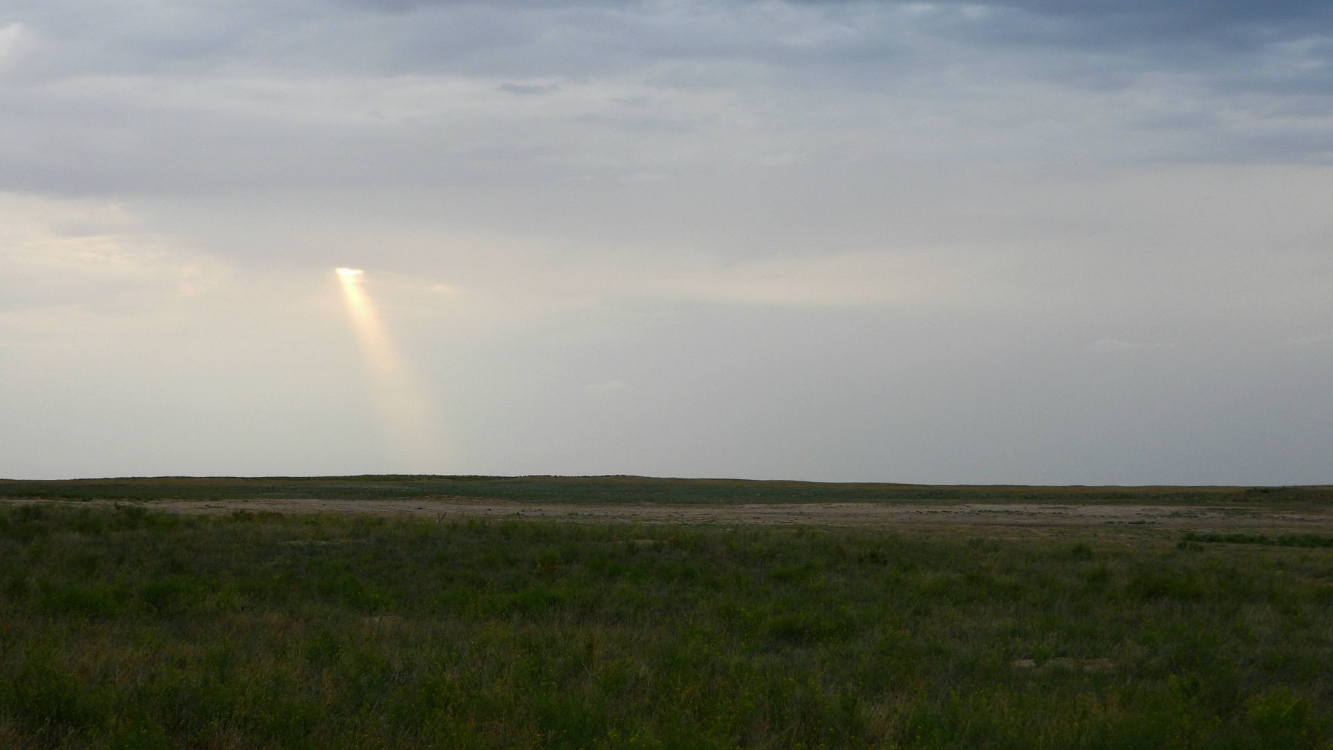 Дикая Калмыкия. Чёрные земли - один день из жизни животных. Часть третья - "Закат" смотреть онлайн