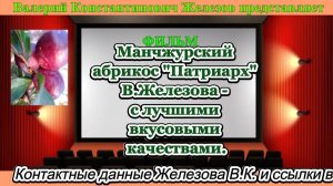 Манчжурский абрикос Патриарх В.Железова - с лучшими вкусовыми качествами.