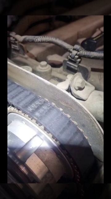 это оригинальный ремень ГРМ Ford 🤦♂️ смотреть онлайн