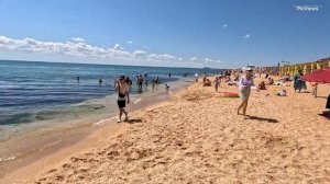 Крым Феодосия Черноморское, Береговое и Приморский сегодня 8 июля 2025. Пляж и погода сейчас. Море