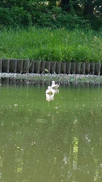 #сезонконтентаRUTUBE