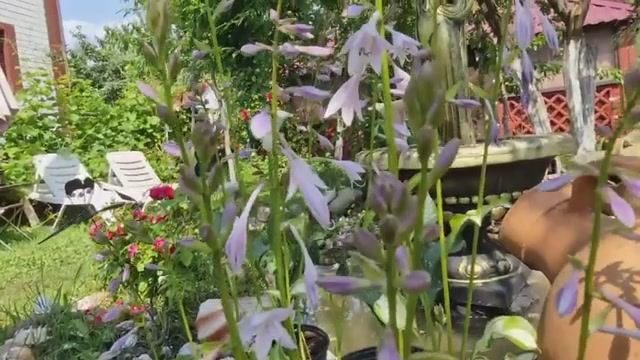 Демонтаж старой кухни. Уборка и перестановка. Жизнь семьи в деревне. смотреть онлайн