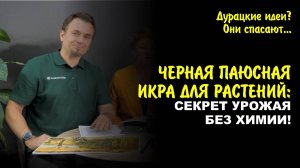 Чёрная кровь земли — паста Гуми-30. Как вернуть первозданное плодородие почвы?
