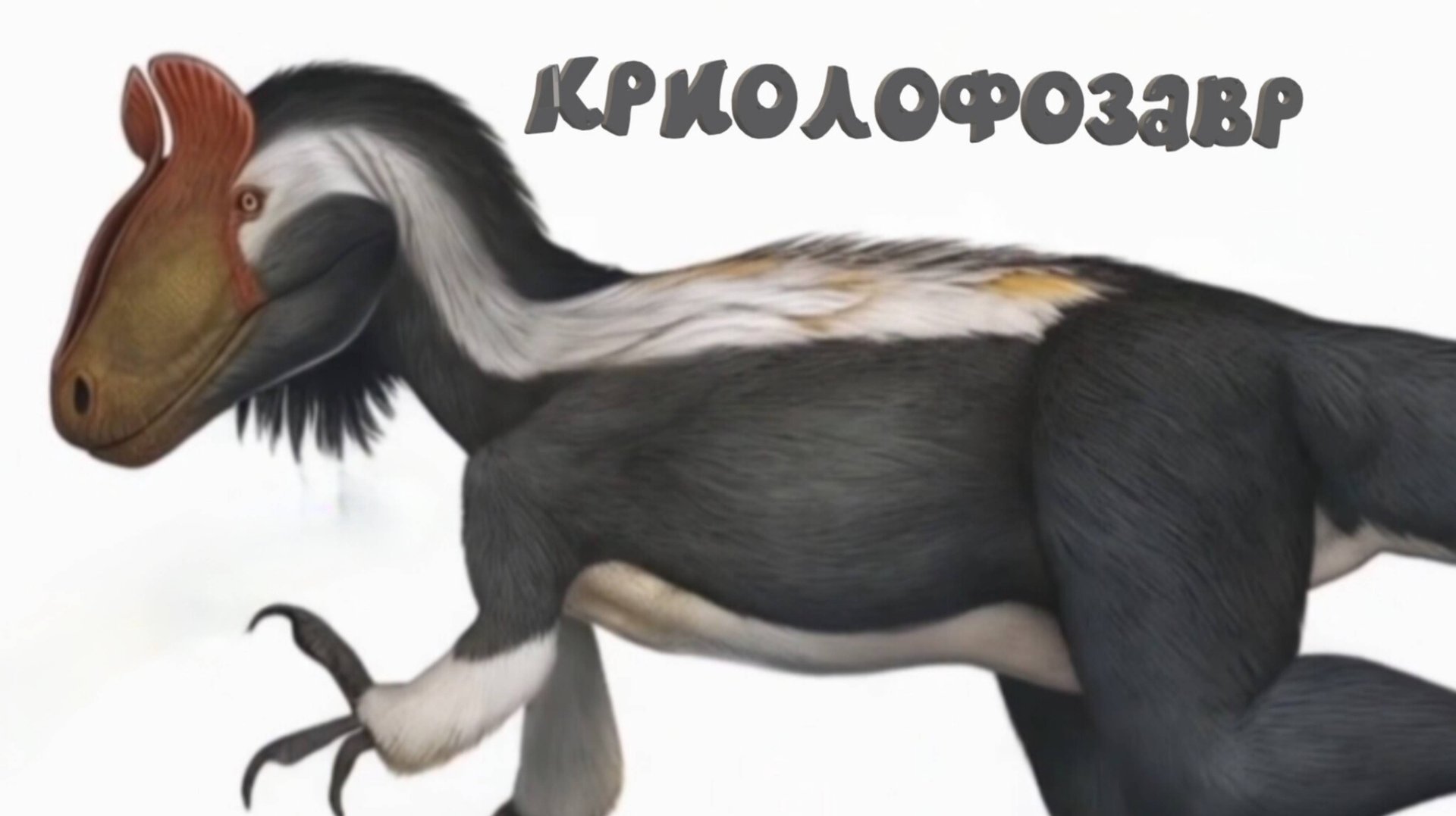 Клип «Криолофозавр».