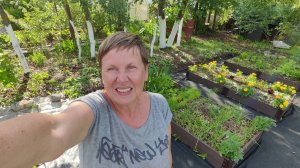 Дачный влог 05.07.25