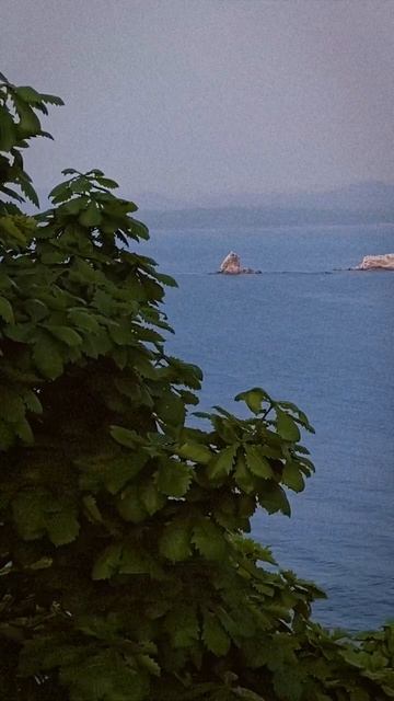 Закаты Владивостока по особому очаровательны смотреть онлайн