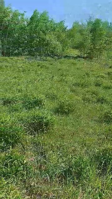 видео участок смотреть онлайн