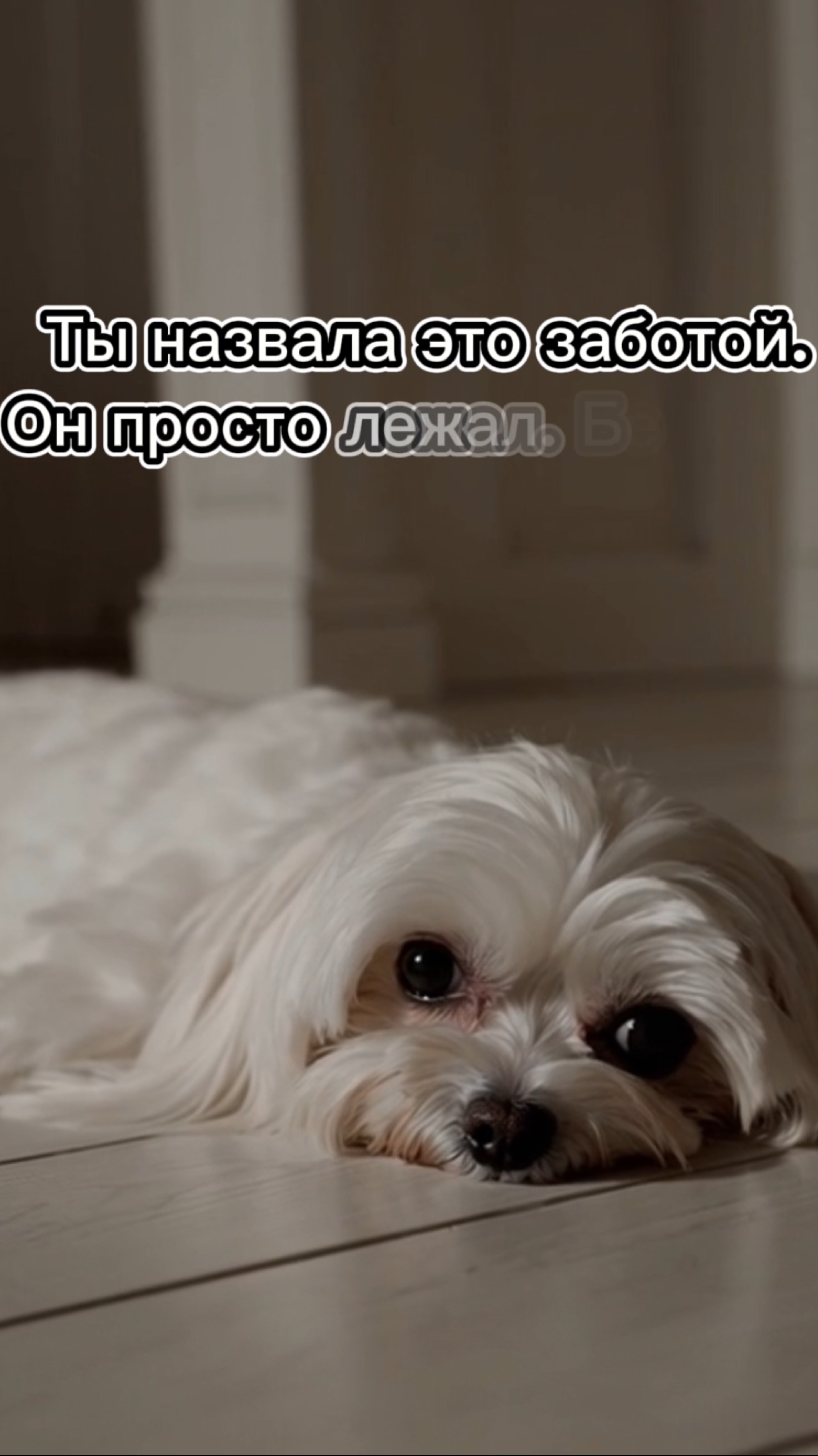 Ты покупала корм, постила сторис, гладко говорила «мой малыш».