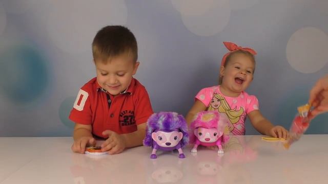 Рома и Диана Челлендж ГОНКИ ЁЖИКОВ-Роботов, Чей Ёжик СУПЕР быстрый