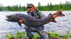 НА МОНСТРА-ЦАРЯ РЕК В РЕАЛЬНУЮ ДИЧЬ НА СЕВЕР! ЖИЗНЬ В ТАЙГЕ, ЛОВЛЯ ТАЙМЕНЯ, ЛЕНКА, СИГА и ХАРИУСА