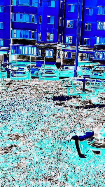 Кто лучше прыгнул смотреть онлайн