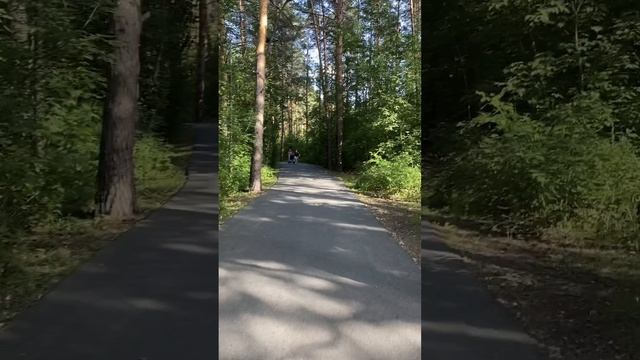 Просто Леон
Просто мы