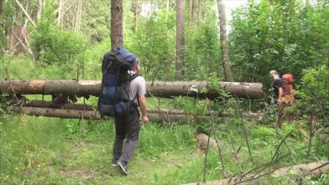 слет КСП и Хора МИФИ 2025 зарисовка Бригантина