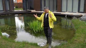 запустил в свой пруд вьюна