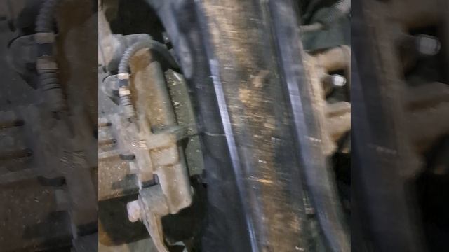 1000275645.mp4 tc смотреть онлайн