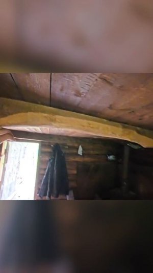 Обзор старой избы в тайге часть 3