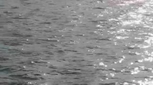 Мопеды сериал | Серия 453