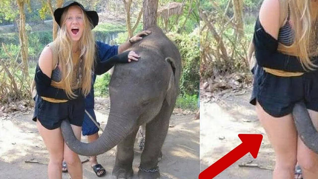 Смешные видео ● неудачные падения в воду, подборка Приколы над людьми смотреть онлайн