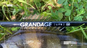 НЕ ОБЗОР Apia Grandage Lite 64