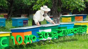 Реально ли увеличить количество семей с 10 до 30 за лето?