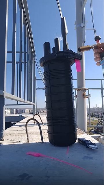 СемьяСнигиревых