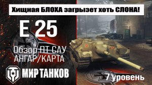 E 25 обзор ПТ САУ Германии | оборудование E25 бронирование | перки Е 25 Мир танков