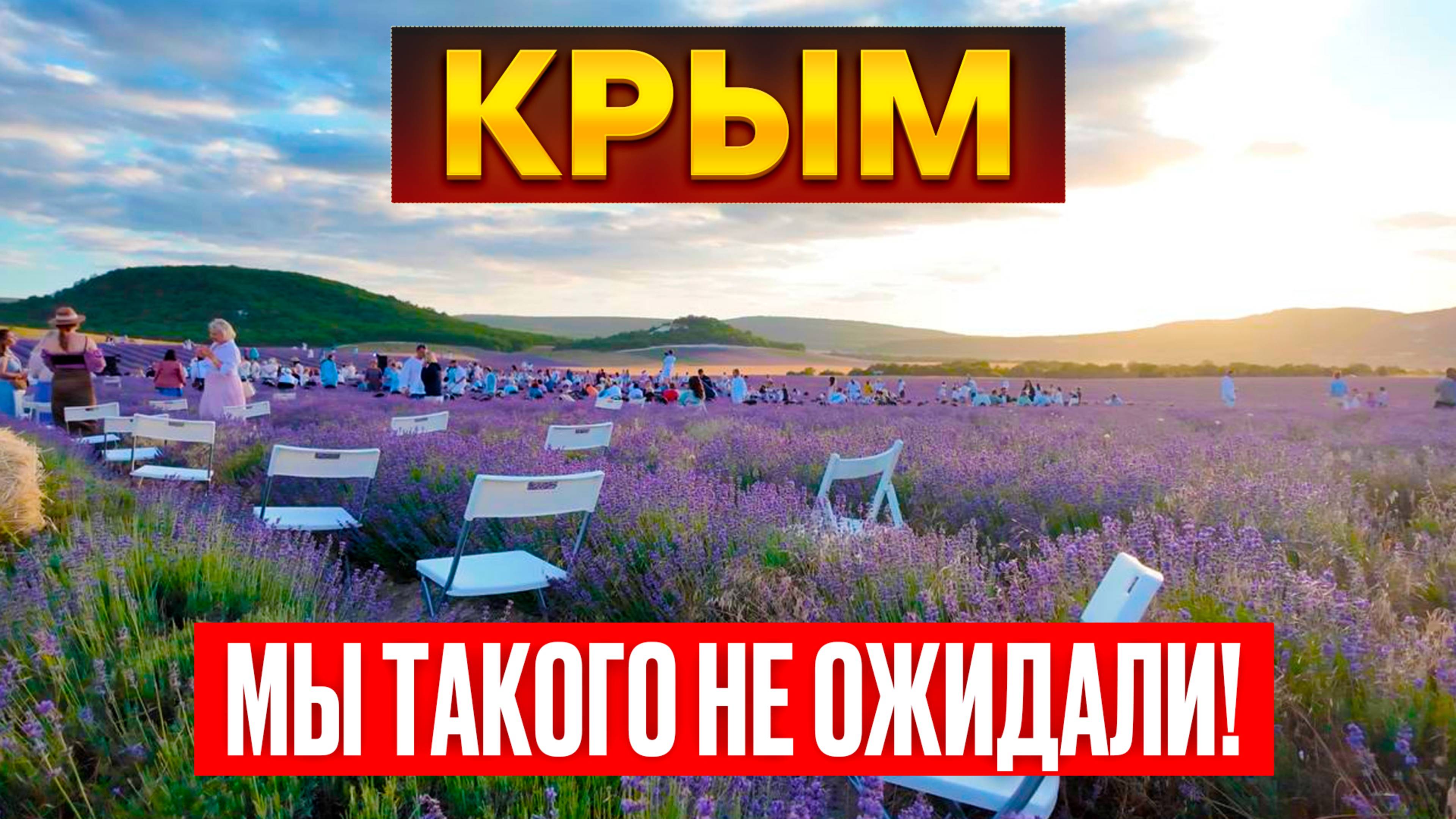 Мы не верили своим глазам: Крым удивил фиолетовыми полями! смотреть онлайн