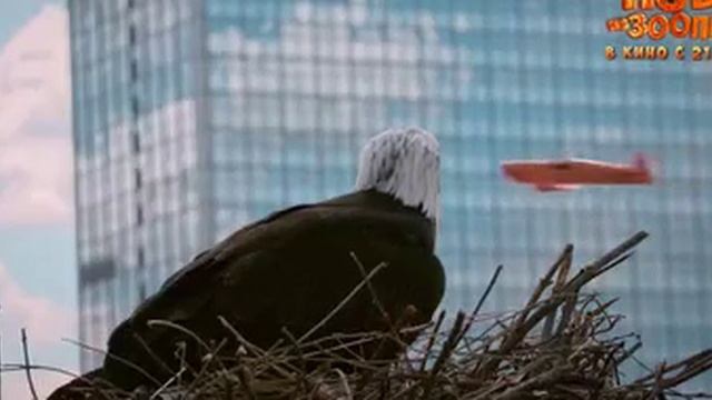 Побег из зоопарка 2025 трейлер смотреть онлайн