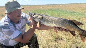 РЫБАЛКА НА КРУЖКИ ЛЕТОМ! Такого результата я не ожидал!
