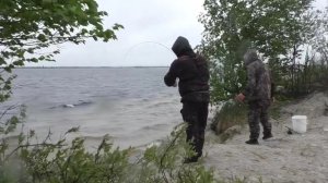 ЛОВИМ ОКУНЕЙ ГИГАНТОВ КАК НА МОРЕ!)) ПОЛ МЕТРОВЫЕ ВОЛНЫ ИМ НЕ ПОМЕХА!! КЛЮЕТ НА КАЖДОМ ЗАБРОСЕ!!