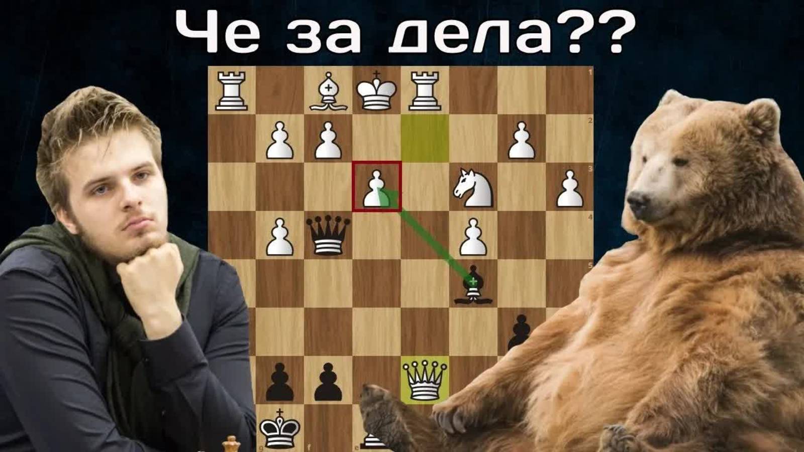 Юный Раппорт пошел на Медведя голыми руками! Шахматы