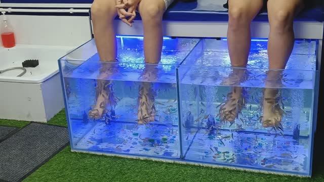 ЛЕЧЕНИЕ РЫБКАМИ НА БАЗЕ ОТДЫХА ,,ПРИБОЙ"