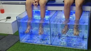 ЛЕЧЕНИЕ РЫБКАМИ НА БАЗЕ ОТДЫХА ,,ПРИБОЙ"