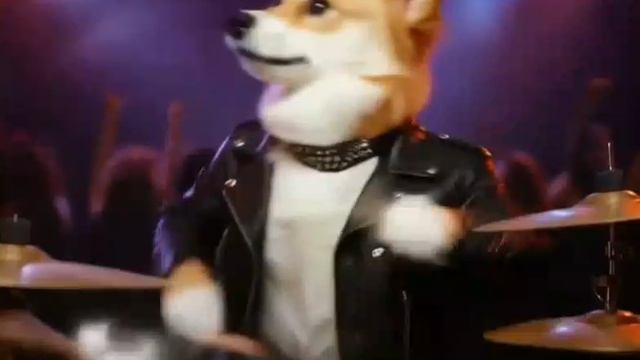 Собачки музыканты | Создано с помощью редактора ИИ | Ролики и видео для детей | Подпишись