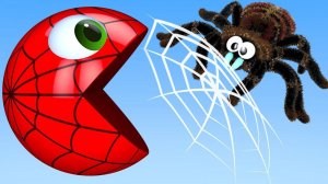 Учим ЦВЕТА, детские мультики онлайн🚌✨, смотреть мультфильмы для детей, лучшие мультики