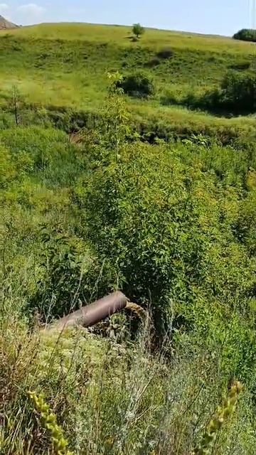 Чистка системы водоотведения с дороги, ведущей на массив 4. СНТ 