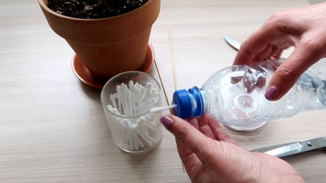 Как сделать простой автополив для растений смотреть онлайн