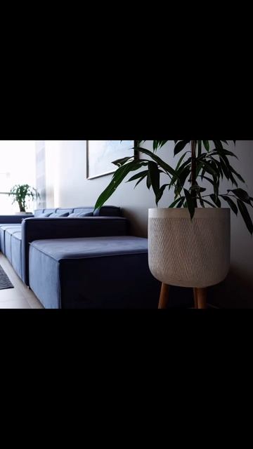 Реализация ✔️